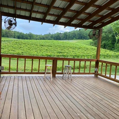 Eagle Mountain River Retreat Ellijay Exteriör bild