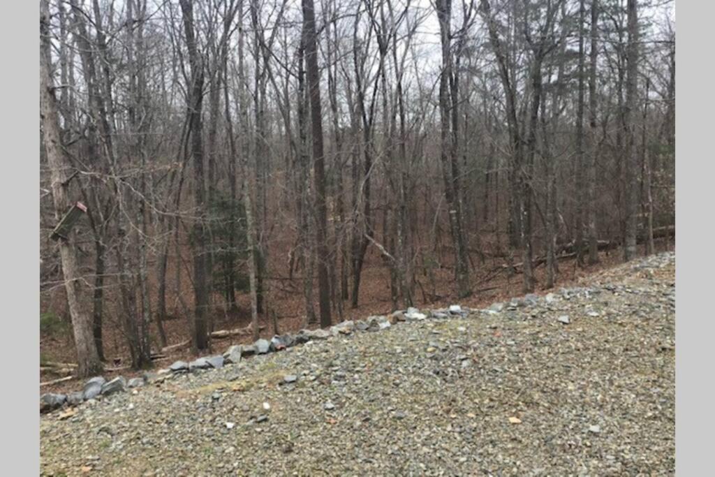 Eagle Mountain River Retreat Ellijay Exteriör bild